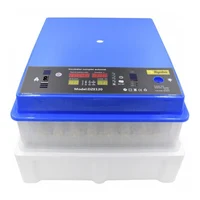 Инкубатор для яйц 12V