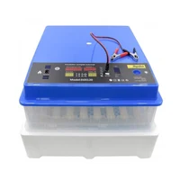 Инкубатор для яйц 12V 2