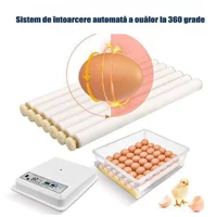 Incubator automat 12V 11