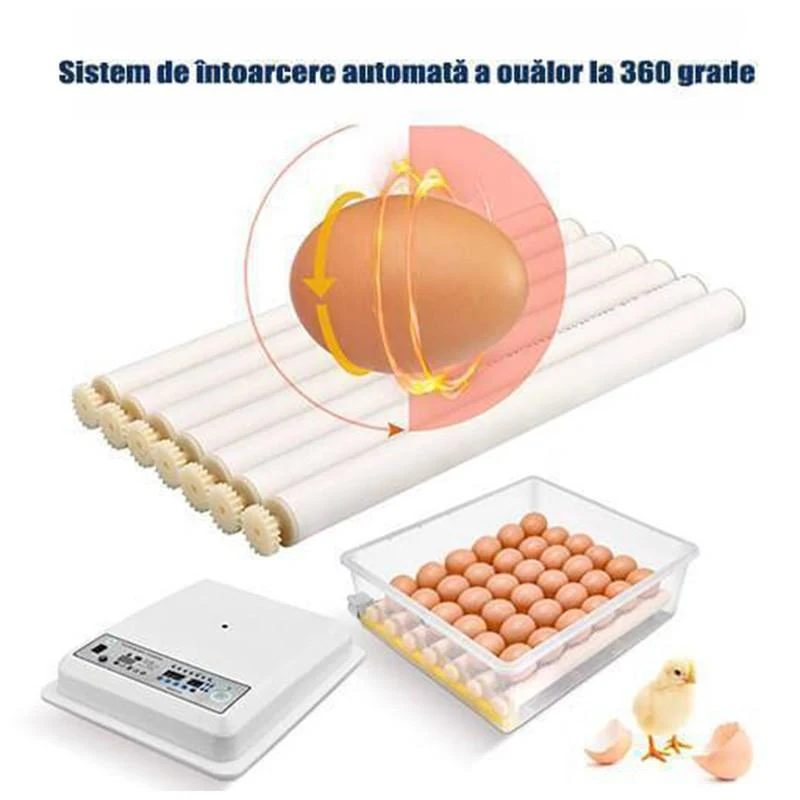 Incubator automat 12V 11