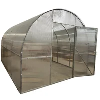 Sera policarbonat cu sistem de irigare (6x3x2.5) 2