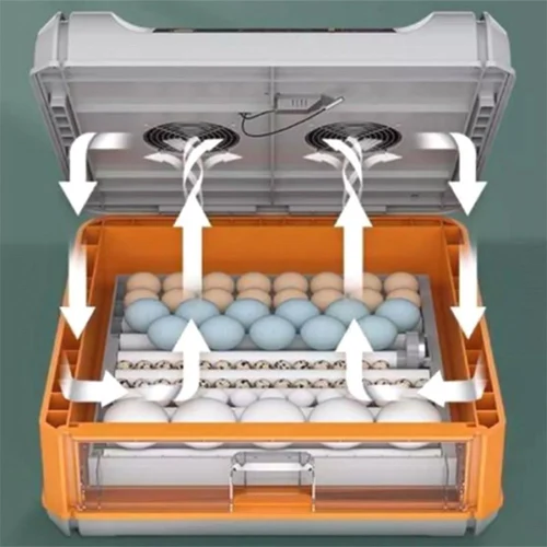 Incubator automat
