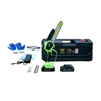 Ferestrau electric pe acumulatot 3