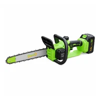 Ferestrau electric pe acumulatot 2
